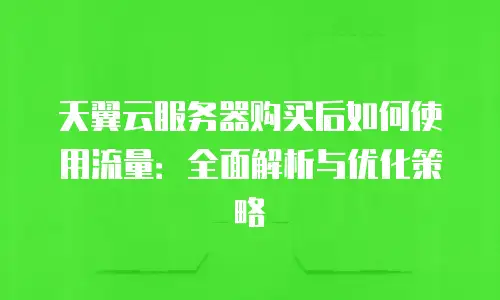天翼云服务器购买后如何使用流量：全面解析与优化策略