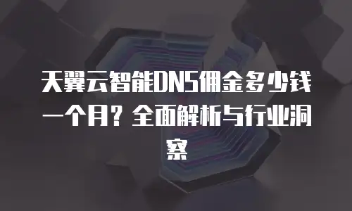 天翼云智能DNS佣金多少钱一个月？全面解析与行业洞察