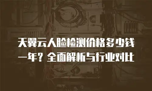 天翼云人脸检测价格多少钱一年？全面解析与行业对比