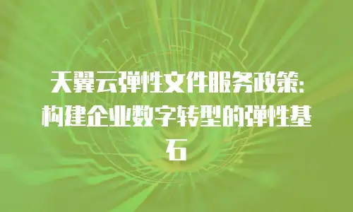 天翼云弹性文件服务政策：构建企业数字转型的弹性基石