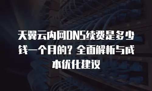 天翼云内网DNS续费是多少钱一个月的？全面解析与成本优化建议