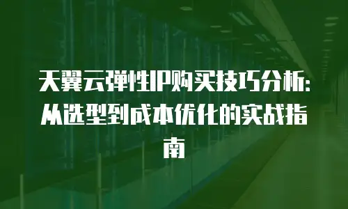 天翼云弹性IP购买技巧分析：从选型到成本优化的实战指南