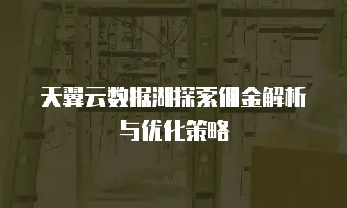 天翼云数据湖探索佣金解析与优化策略