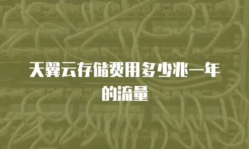 天翼云存储费用多少兆一年的流量