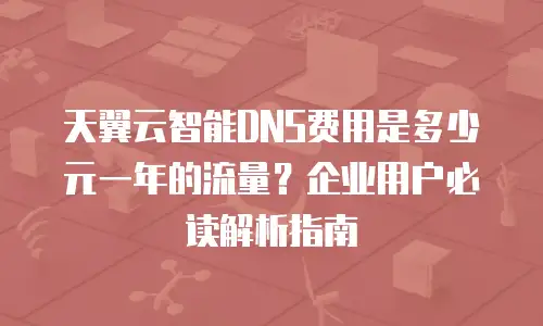 天翼云智能DNS费用是多少元一年的流量？企业用户必读解析指南