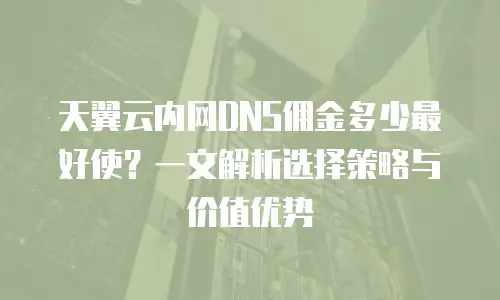 天翼云内网DNS佣金多少最好使？一文解析选择策略与价值优势