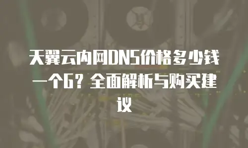 天翼云内网DNS价格多少钱一个G？全面解析与购买建议