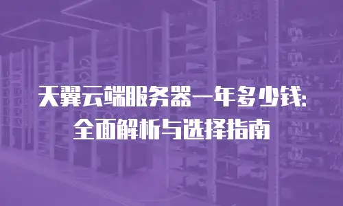 天翼云端服务器一年多少钱：全面解析与选择指南