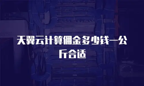 天翼云计算佣金多少钱一公斤合适