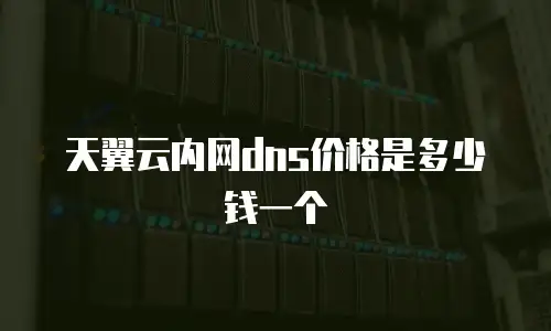 天翼云内网dns价格是多少钱一个