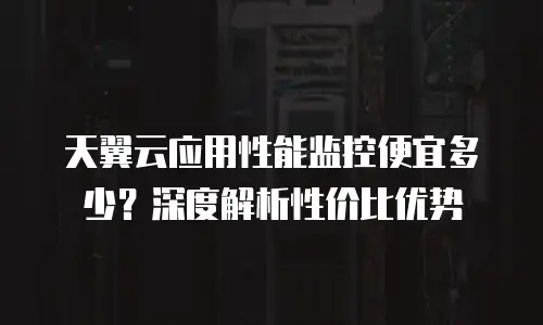 天翼云应用性能监控便宜多少？深度解析性价比优势
