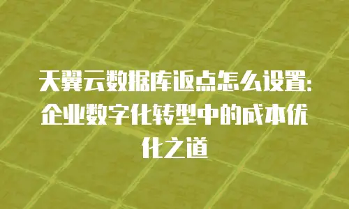 天翼云数据库返点怎么设置：企业数字化转型中的成本优化之道