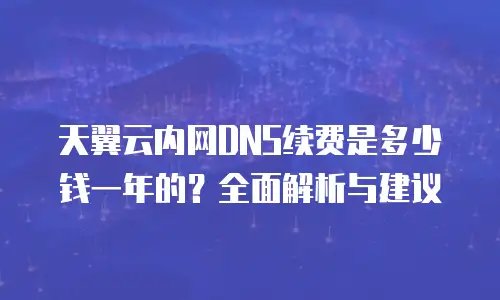 天翼云内网DNS续费是多少钱一年的？全面解析与建议