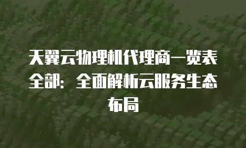 天翼云物理机代理商一览表全部：全面解析云服务生态布局