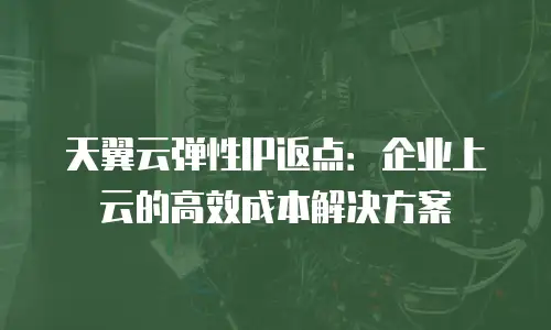 天翼云弹性IP返点：企业上云的高效成本解决方案