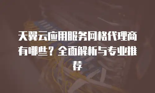 天翼云应用服务网格代理商有哪些？全面解析与专业推荐