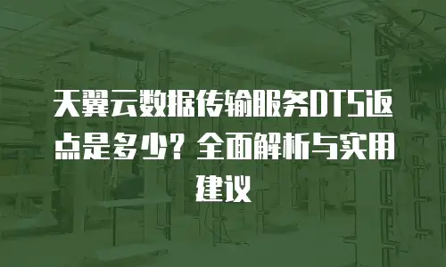 天翼云数据传输服务DTS返点是多少？全面解析与实用建议