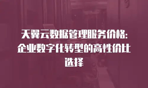 天翼云数据管理服务价格：企业数字化转型的高性价比选择