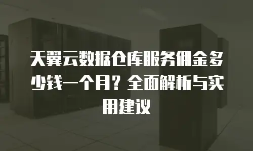 天翼云数据仓库服务佣金多少钱一个月？全面解析与实用建议