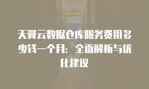天翼云数据仓库服务费用多少钱一个月：全面解析与优化建议