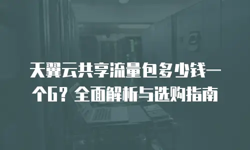 天翼云共享流量包多少钱一个G？全面解析与选购指南
