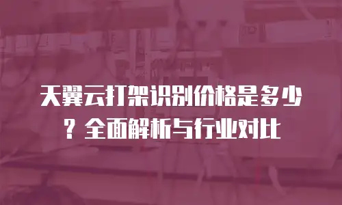 天翼云打架识别价格是多少？全面解析与行业对比