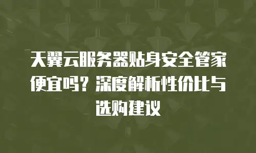 天翼云服务器贴身安全管家便宜吗？深度解析性价比与选购建议
