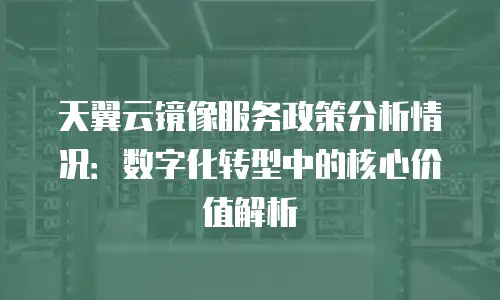 天翼云镜像服务政策分析情况：数字化转型中的核心价值解析