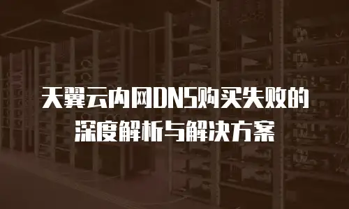 天翼云内网DNS购买失败的深度解析与解决方案