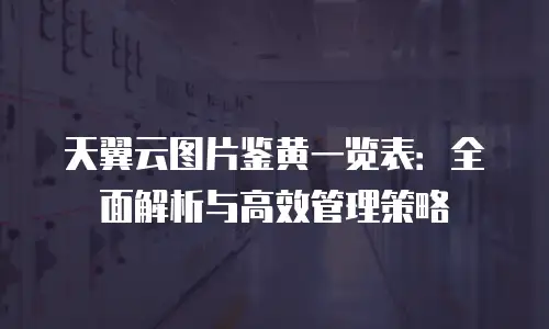 天翼云图片鉴黄一览表：全面解析与高效管理策略