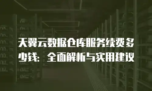 天翼云数据仓库服务续费多少钱：全面解析与实用建议
