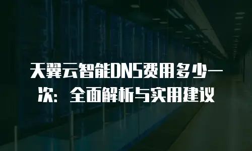 天翼云智能DNS费用多少一次：全面解析与实用建议