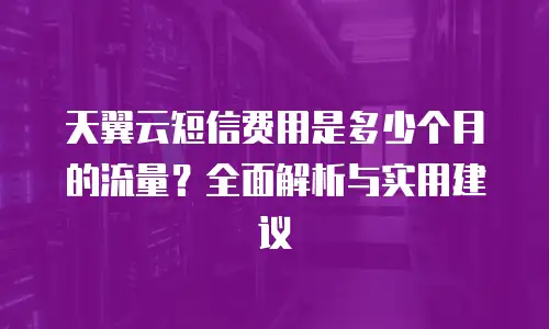 天翼云短信费用是多少个月的流量？全面解析与实用建议
