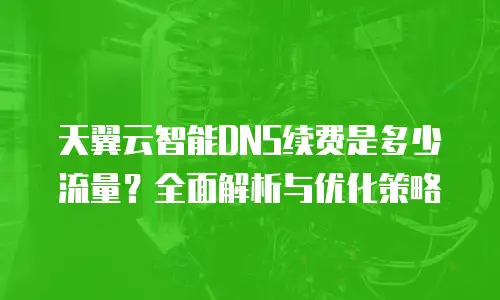 天翼云智能DNS续费是多少流量？全面解析与优化策略