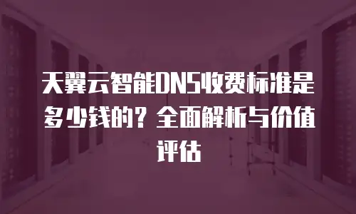天翼云智能DNS收费标准是多少钱的？全面解析与价值评估