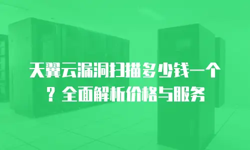 天翼云漏洞扫描多少钱一个？全面解析价格与服务
