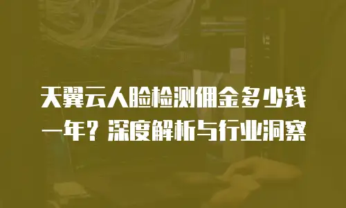 天翼云人脸检测佣金多少钱一年？深度解析与行业洞察