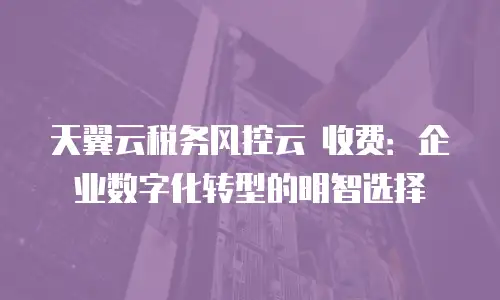 天翼云税务风控云 收费：企业数字化转型的明智选择