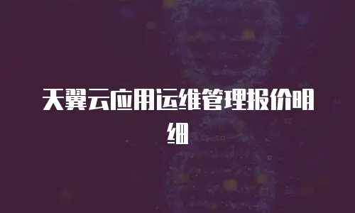 天翼云应用运维管理报价明细
