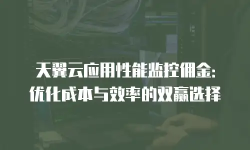 天翼云应用性能监控佣金：优化成本与效率的双赢选择