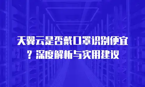 天翼云是否戴口罩识别便宜？深度解析与实用建议