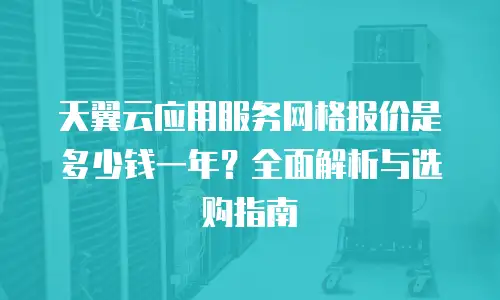 天翼云应用服务网格报价是多少钱一年？全面解析与选购指南
