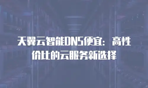 天翼云智能DNS便宜：高性价比的云服务新选择