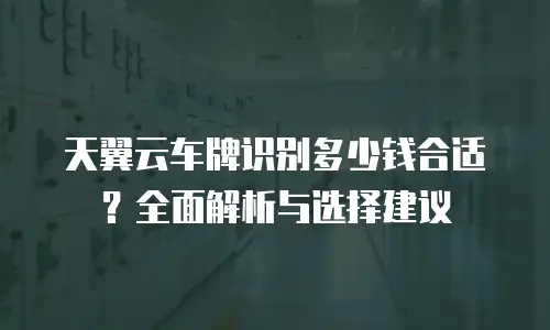 天翼云车牌识别多少钱合适？全面解析与选择建议