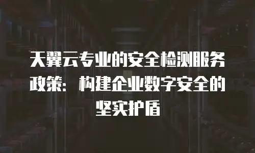 天翼云专业的安全检测服务政策：构建企业数字安全的坚实护盾