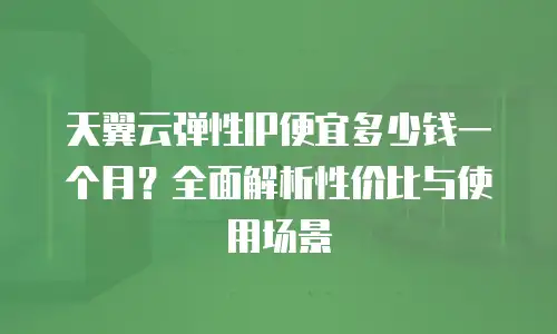 天翼云弹性IP便宜多少钱一个月？全面解析性价比与使用场景