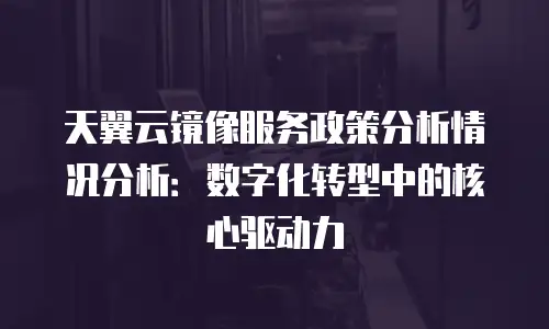 天翼云镜像服务政策分析情况分析：数字化转型中的核心驱动力
