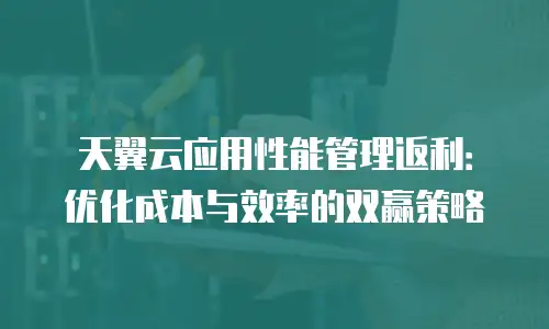 天翼云应用性能管理返利：优化成本与效率的双赢策略