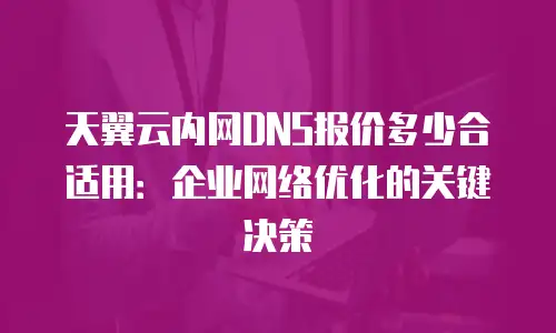 天翼云内网DNS报价多少合适用：企业网络优化的关键决策