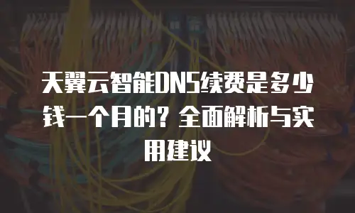 天翼云智能DNS续费是多少钱一个月的？全面解析与实用建议